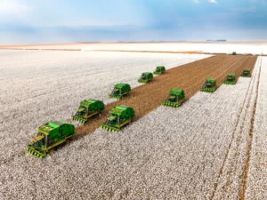 Increasing Debt Levels Raise Concerns for SLC Agrícola’s Financial Stability
