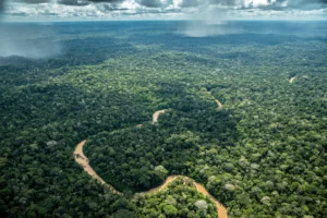 The Quiet Disappearance: Brazil's Natural Landscapes Under Siege