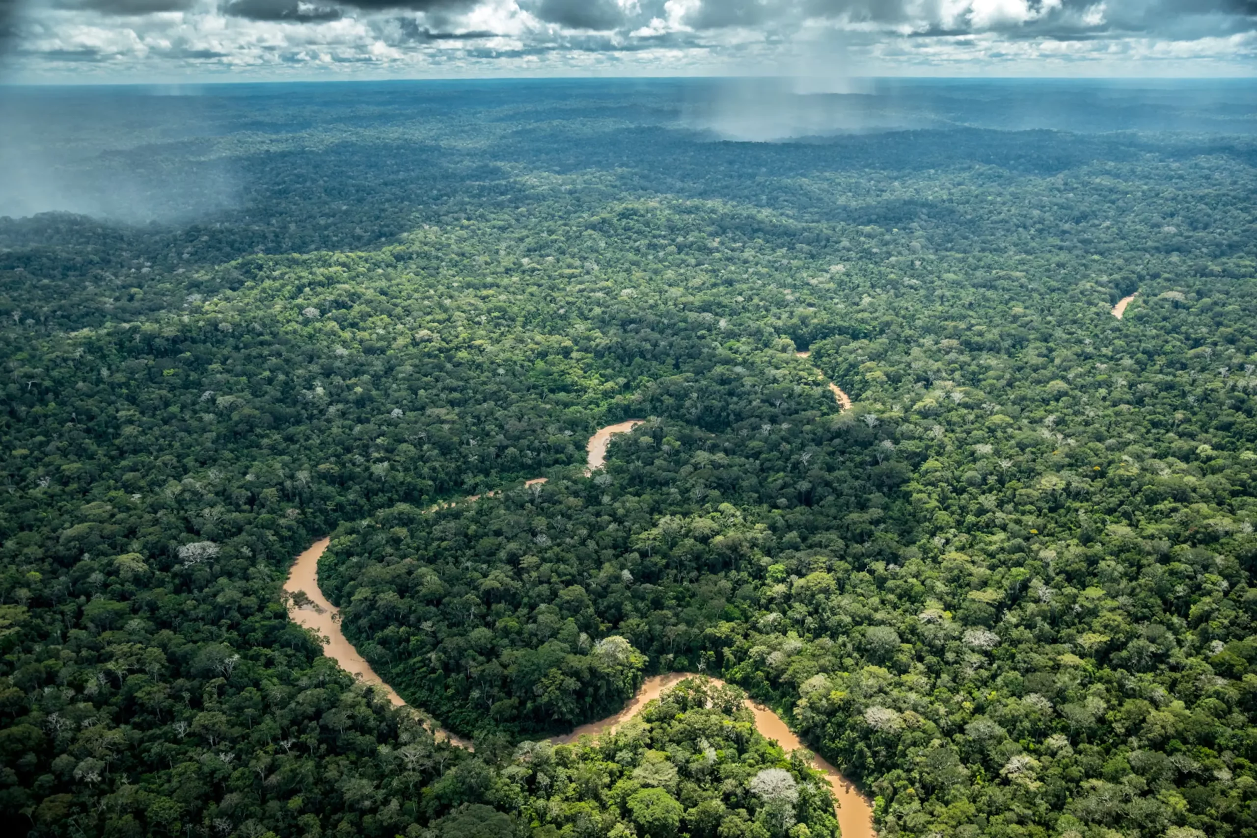 The Quiet Disappearance: Brazil's Natural Landscapes Under Siege