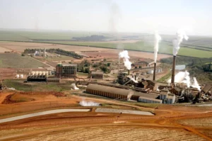 São Martinho Reports 51.7% Profit Drop in Q1 2024/25