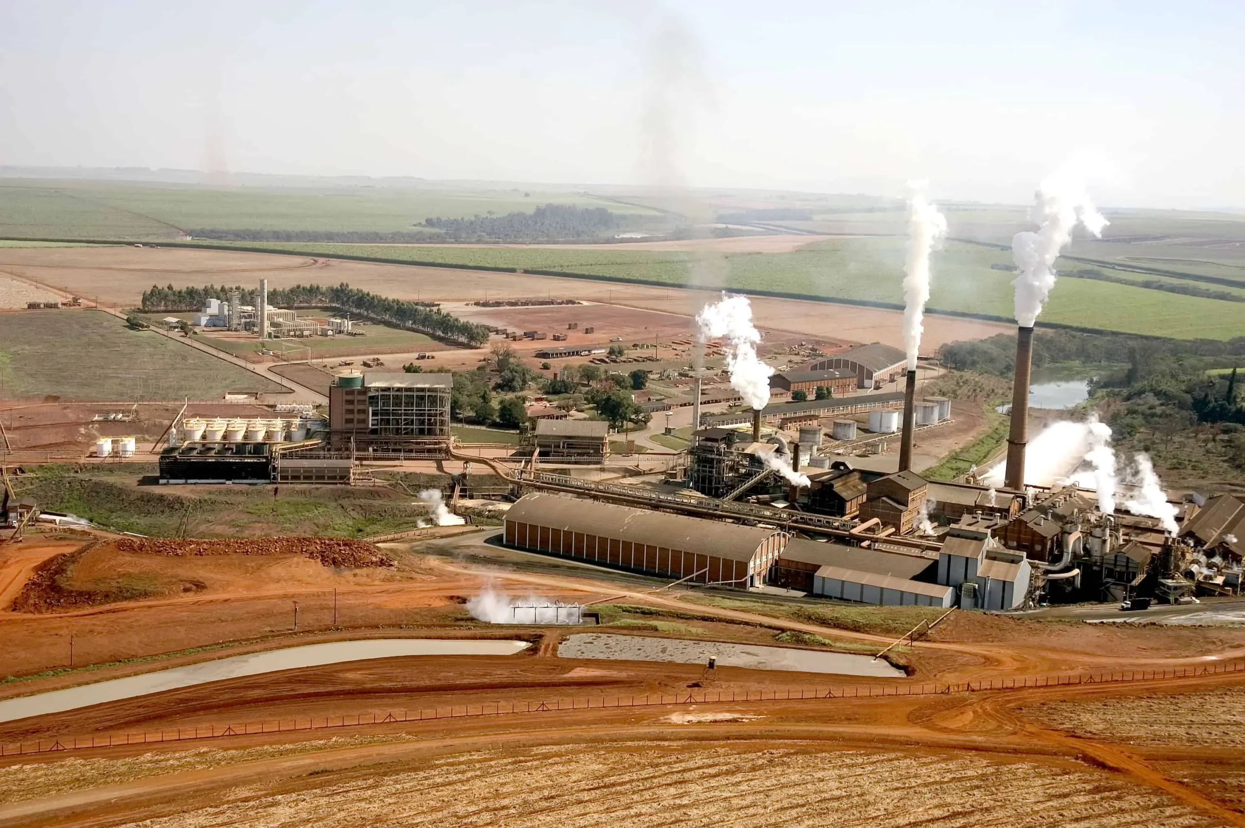 São Martinho Reports 51.7% Profit Drop in Q1 2024/25