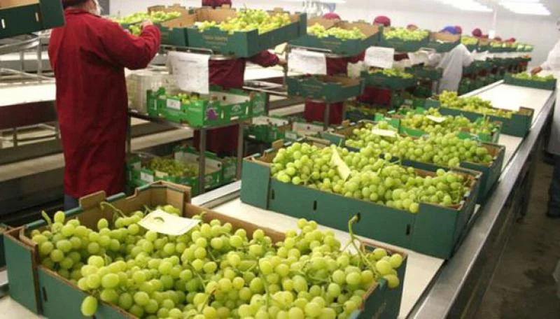 Peru Eyes Expanded Fruit Exports in Upcoming China Trade Deal