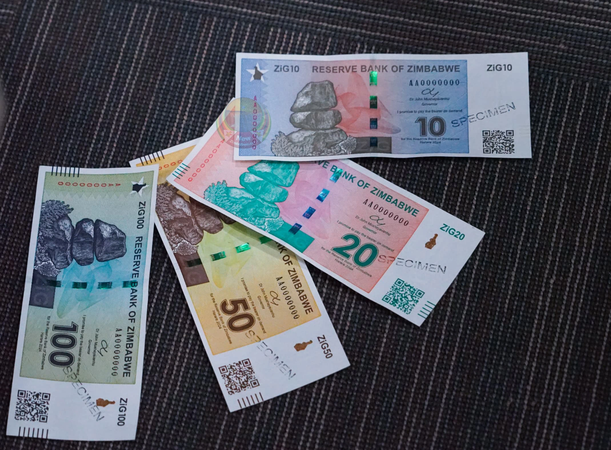 Going South: The Struggle to Stabilize Zimbabwe's New Currency