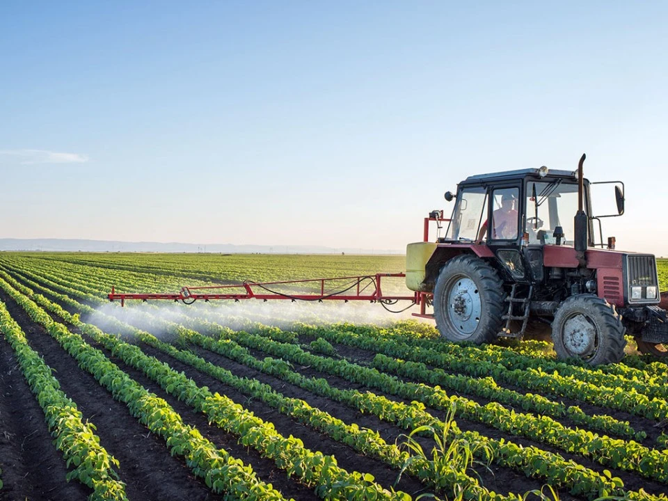 Colombia's Economy Grows 3.68% in July: Agriculture and Services Lead