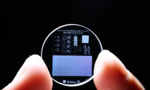 Eternal Genome: Humanity's Blueprint Preserved in Crystal