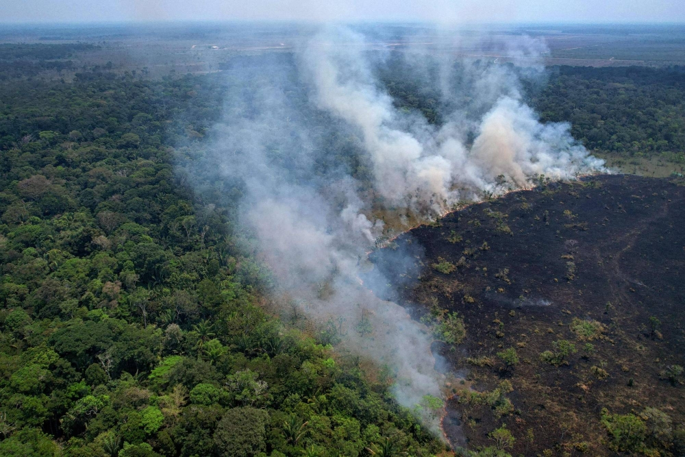 Amazon Wildfires Set Alarming Records