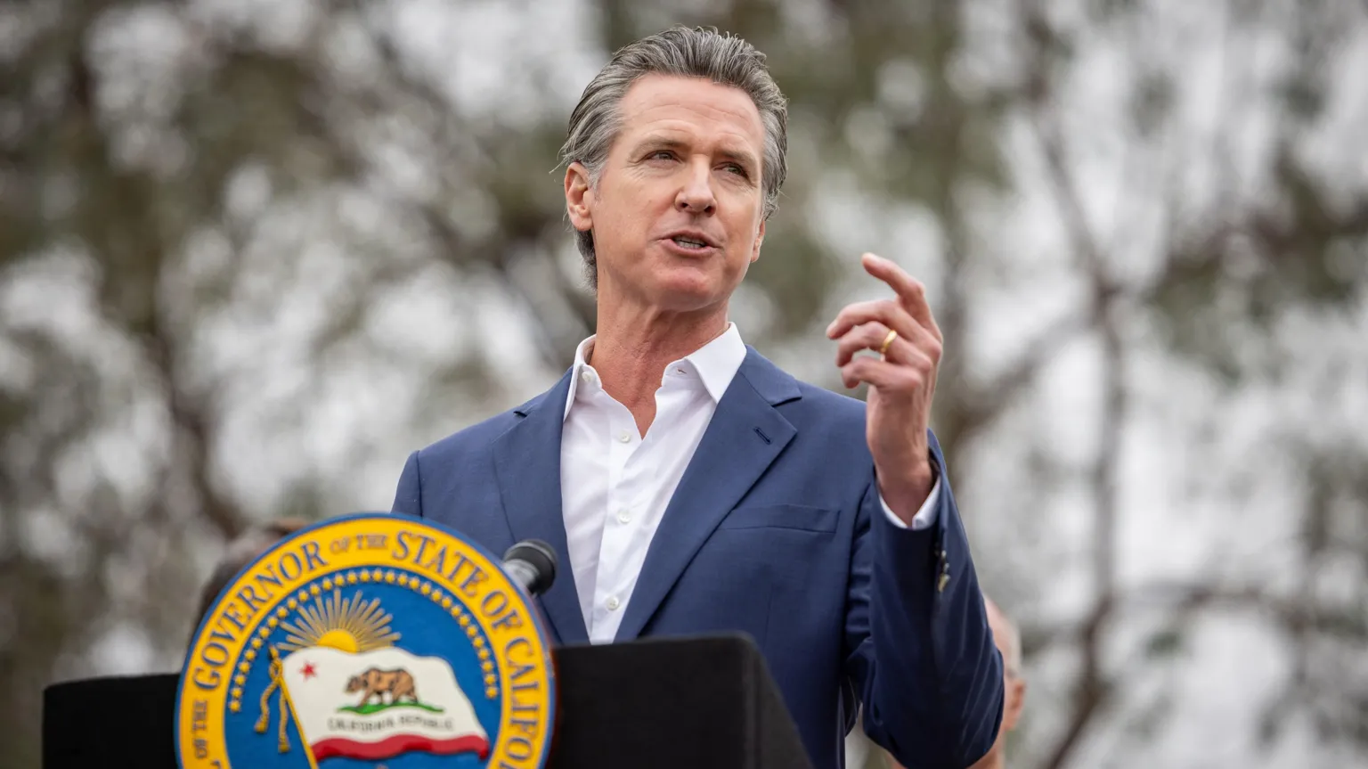 California Governor Vetoes Landmark AI Safety Bill, Sparking Regulation Debate