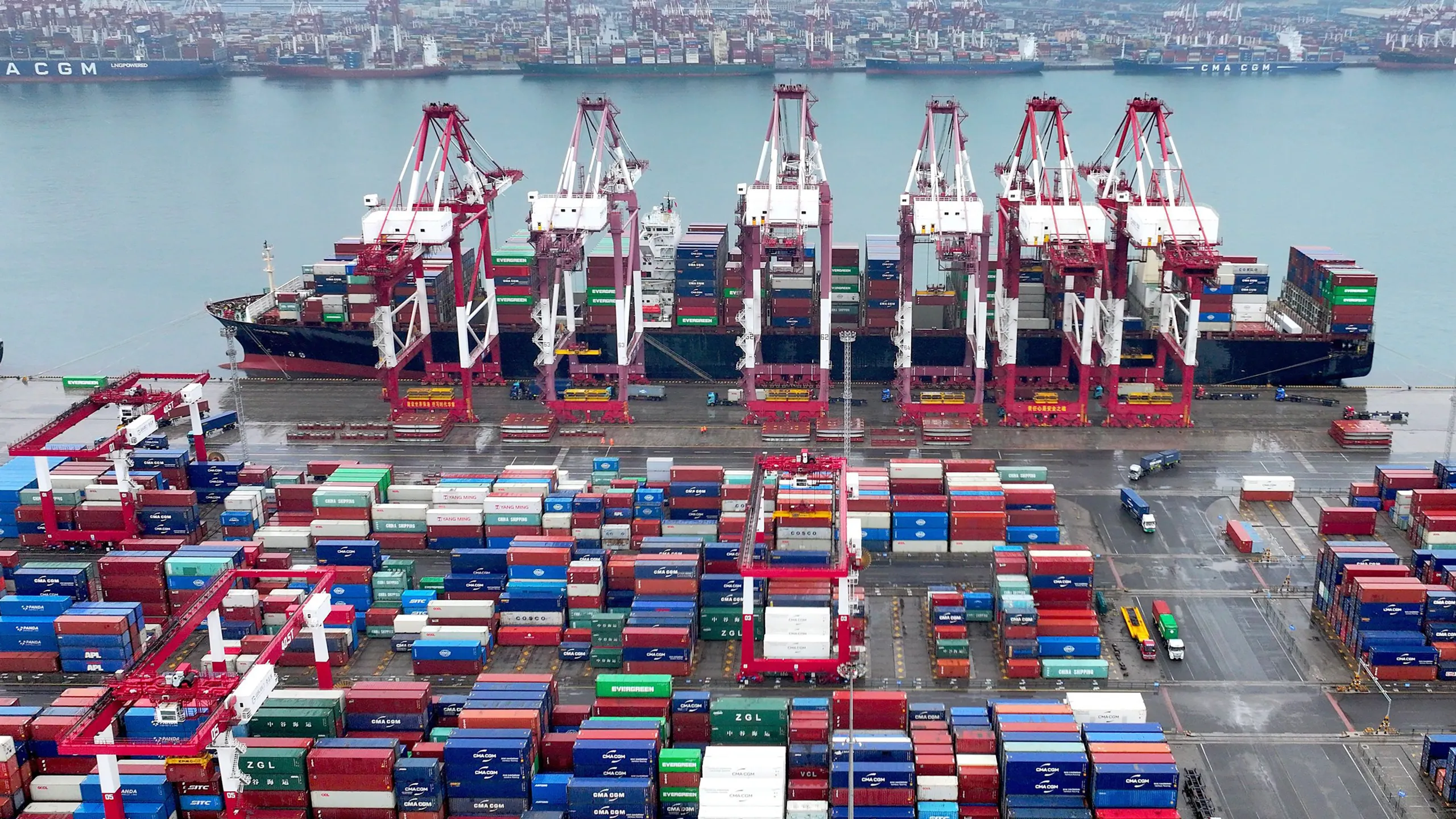 China's Export Resilience: A Double-Edged Sword