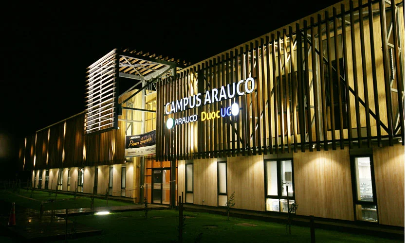Chilean Pulp Giant Arauco Sets Sights on Brazil with Massive $4.6 Billion Investment. (Photo Internet reproduction)