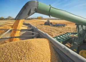 U.S. Crop Yields Soar, Pushing Grain Prices to Multi-Year Lows