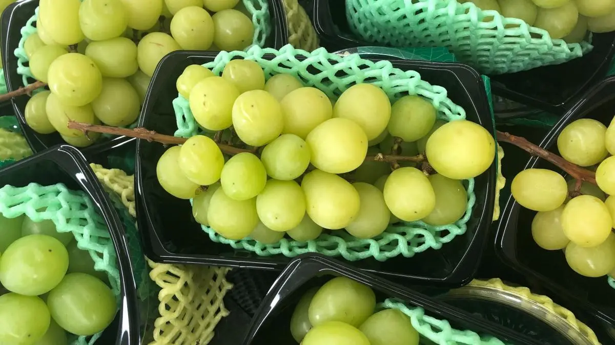 Peru Set to Overtake Chile in Agricultural Exports