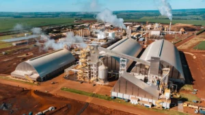 Sugar and Ethanol Outlook Drives São Martinho Stock Recommendation
