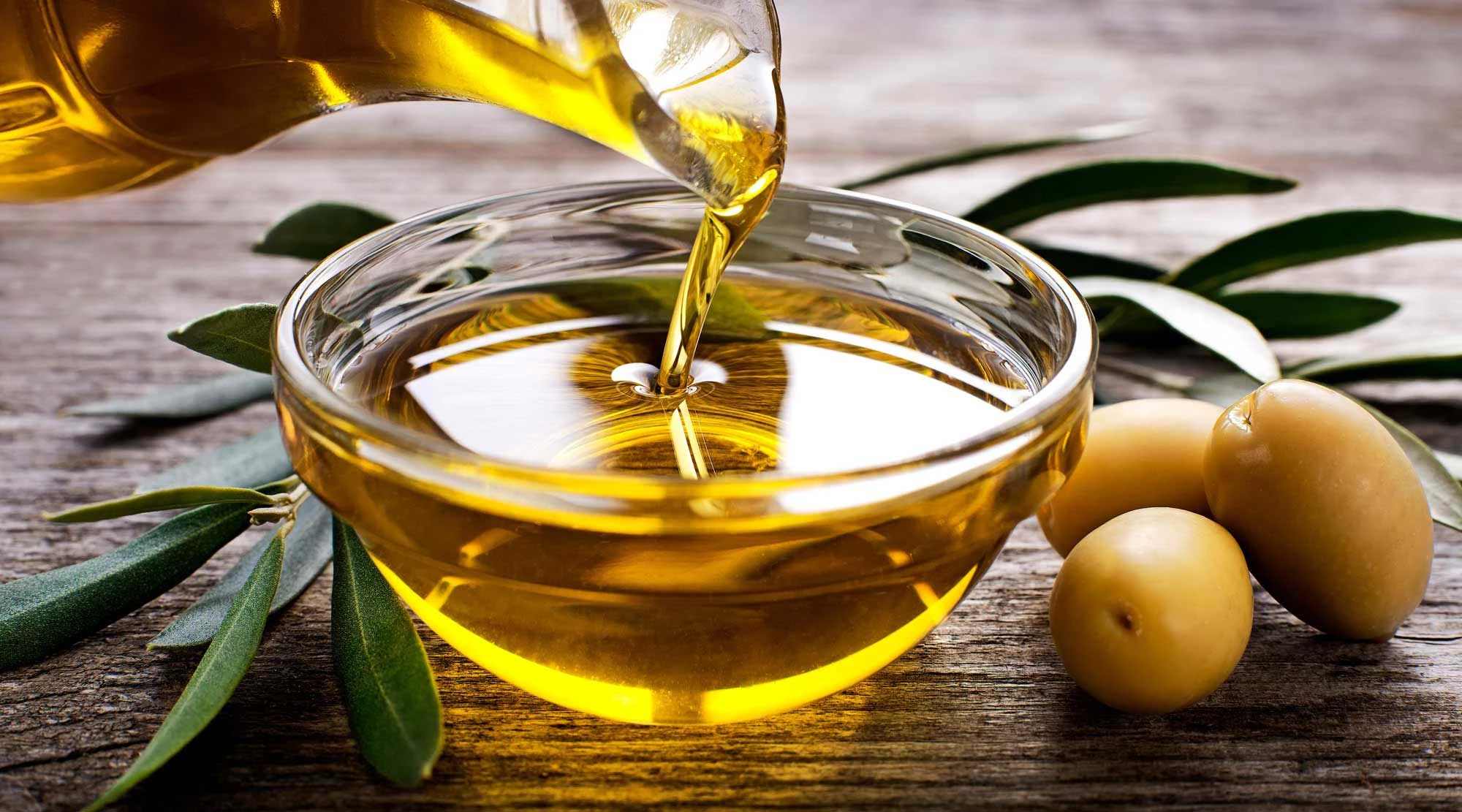 Olive Oil Renaissance in North Africa