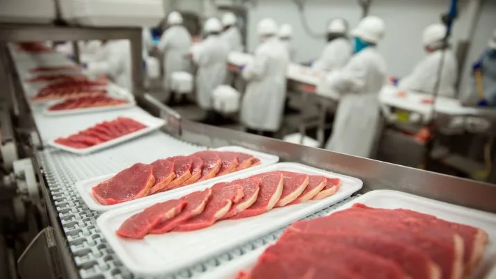 Marfrig and Minerva's Massive Meatpacking Merger: Cade Approves with Conditions