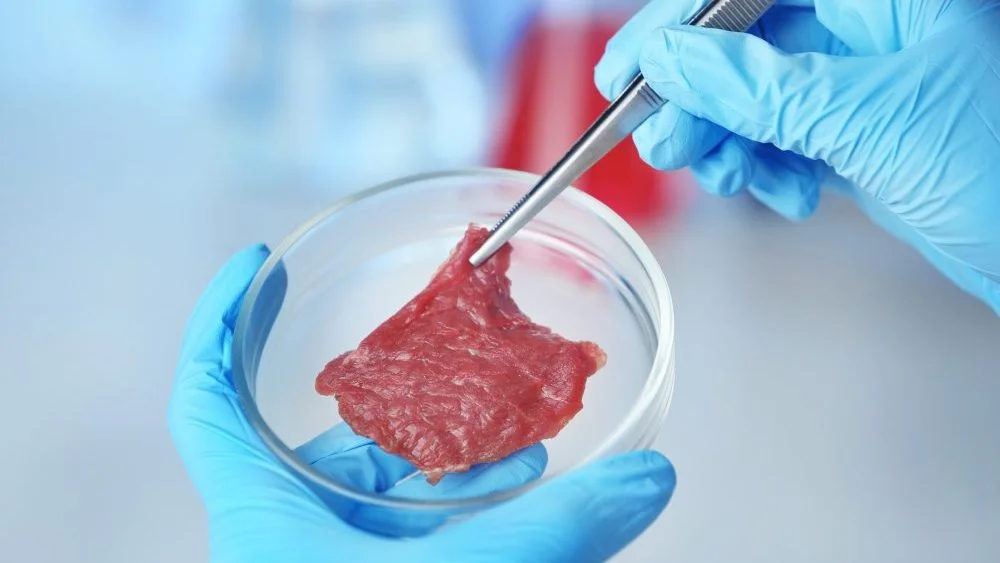 Cultivated Meat's Promise Fades: Investors Lose Appetite for Food Tech