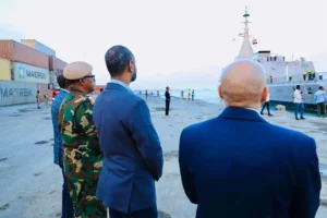 Egypt's Bold Move: Massive Artillery Shipment Reshapes Somalia's Military Landscape