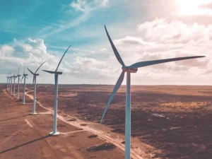Nestlé and Enel Join Forces to Harness Wind Power in Brazil