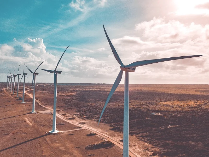 Nestlé and Enel Join Forces to Harness Wind Power in Brazil