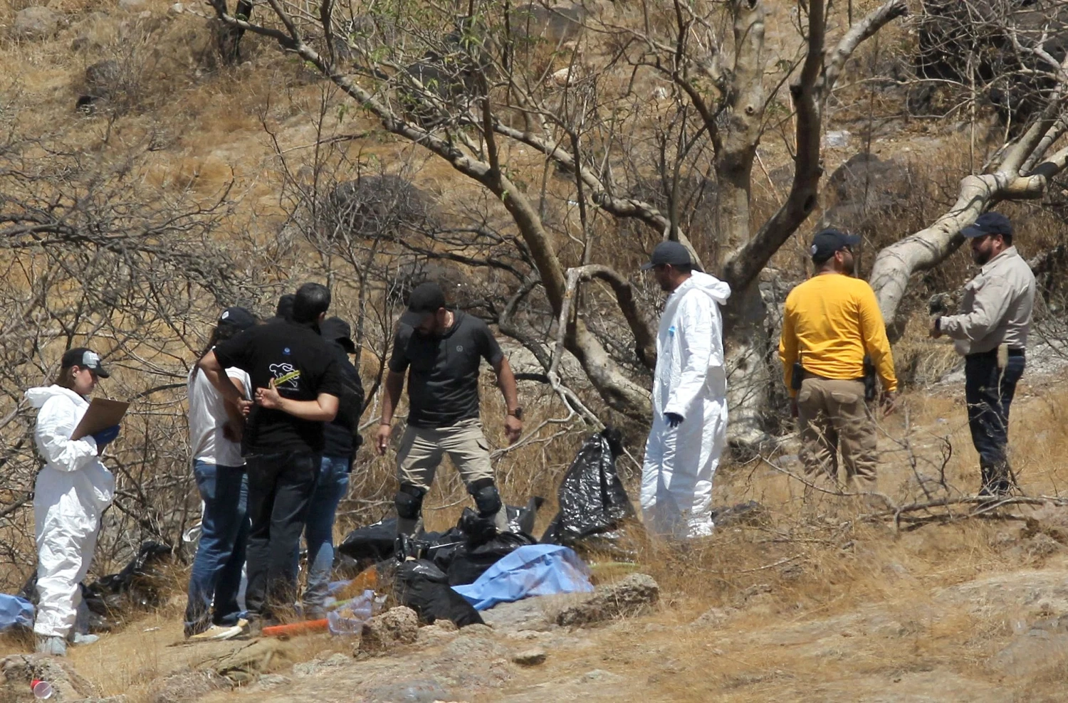 Surge in Violence: Mexico Grapples with 70 Daily Murders Amid Coordination Challenges