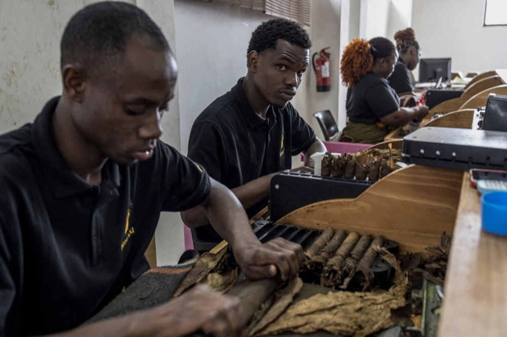 Mozambique's Cigar Industry: Crafting a Global Presence