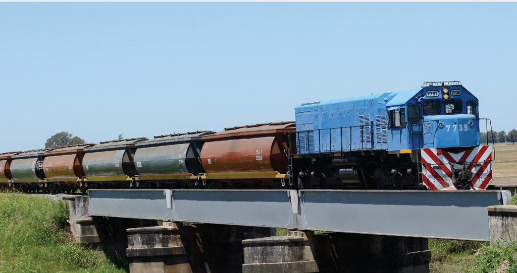 Milei's Administration Begins Privatization with Belgrano Cargas