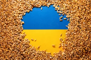Ukraine's Grain Exports Surge in 2024/25 Despite Challenges