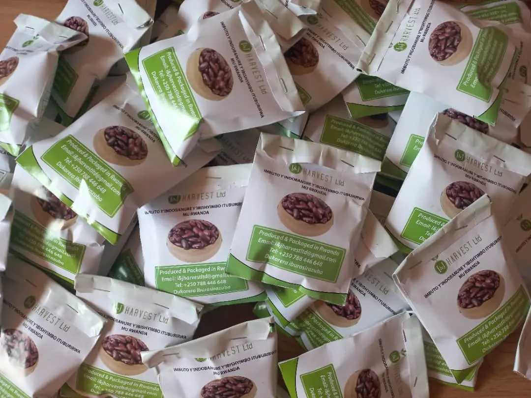Seed Piracy Threatens Agricultural Innovation and Food Security in Mexico