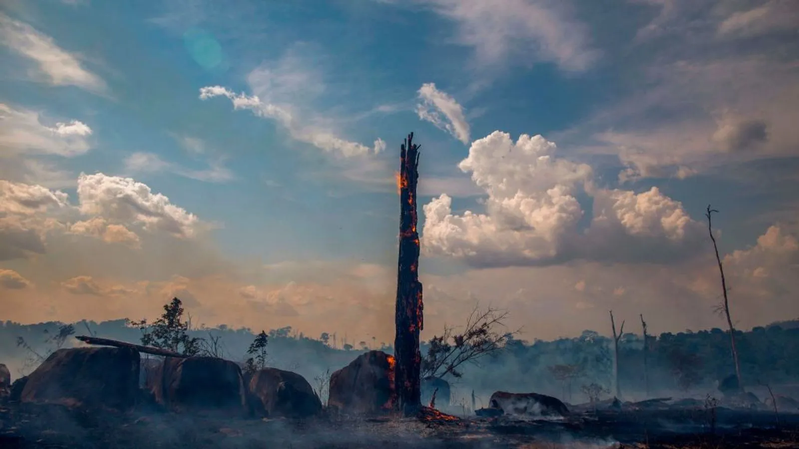Brazil's Wildfire Crisis: 76% Surge Threatens Amazon and Beyond. (Photo Internet reproduction)
