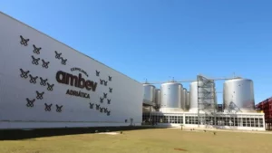 Ambev's Sobering Reality: Navigating Brazil's Competitive Beer Market