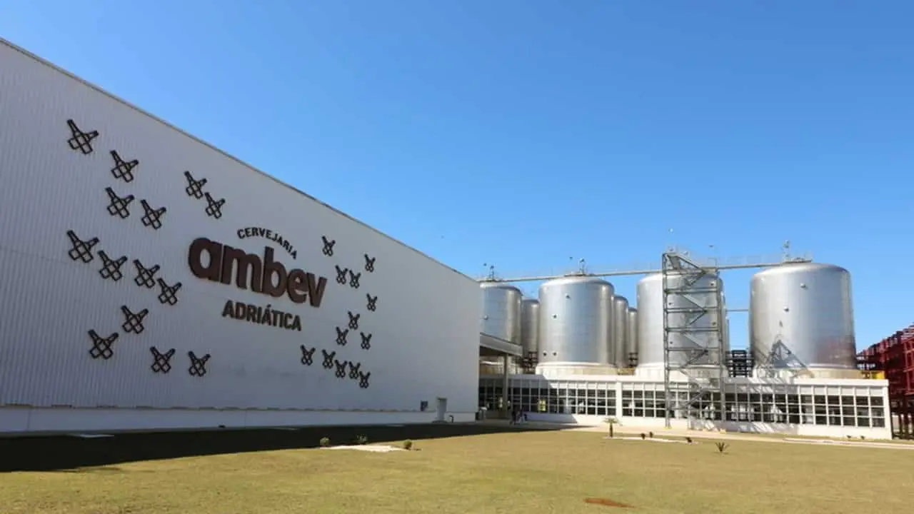 Ambev's Sobering Reality: Navigating Brazil's Competitive Beer Market
