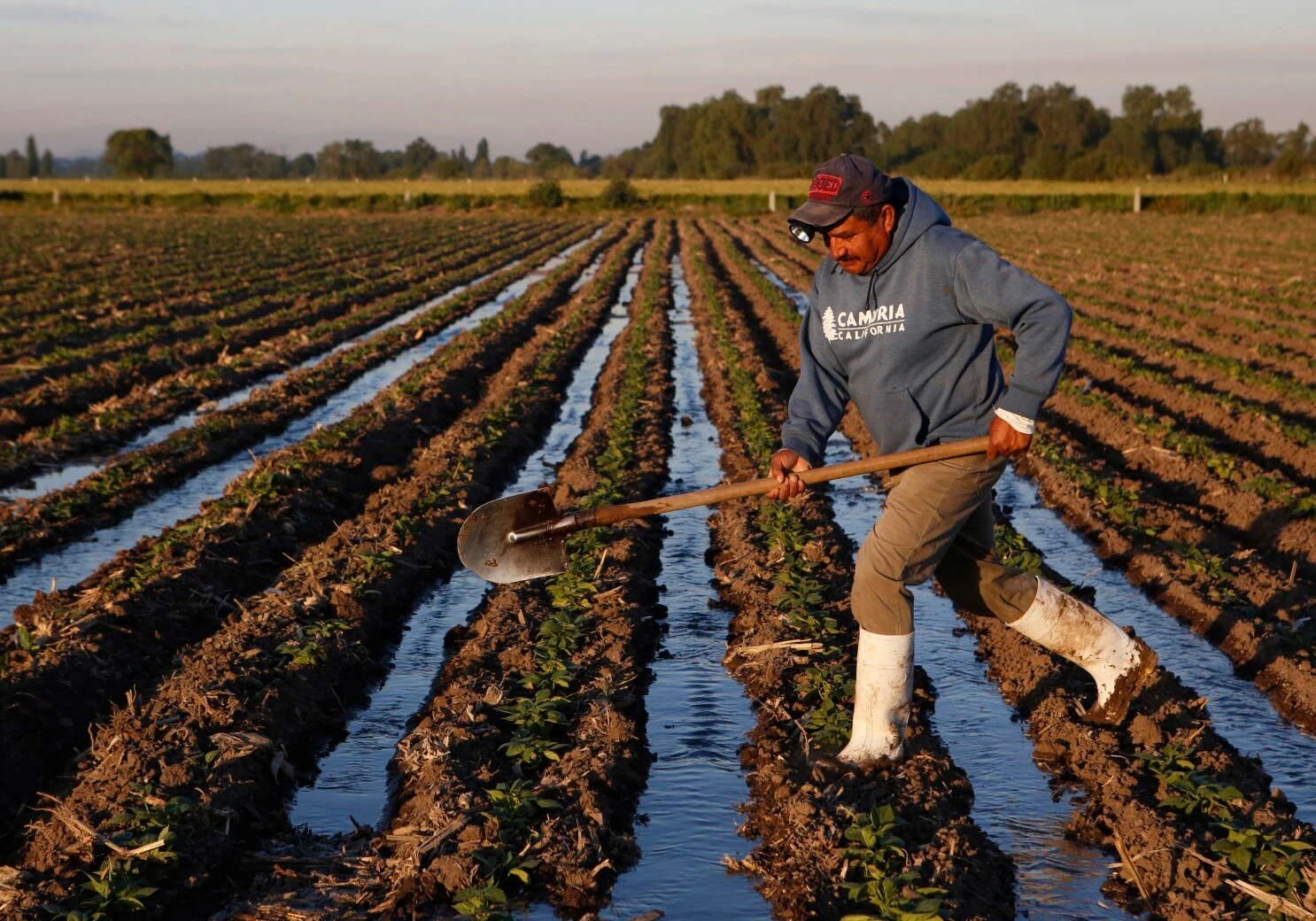 Mexico's Agricultural Shift: A Return to 1980s Food Policies