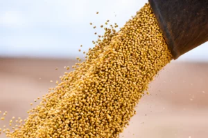 Brazilian Soy Producers Fight Back Against Danone's Boycott