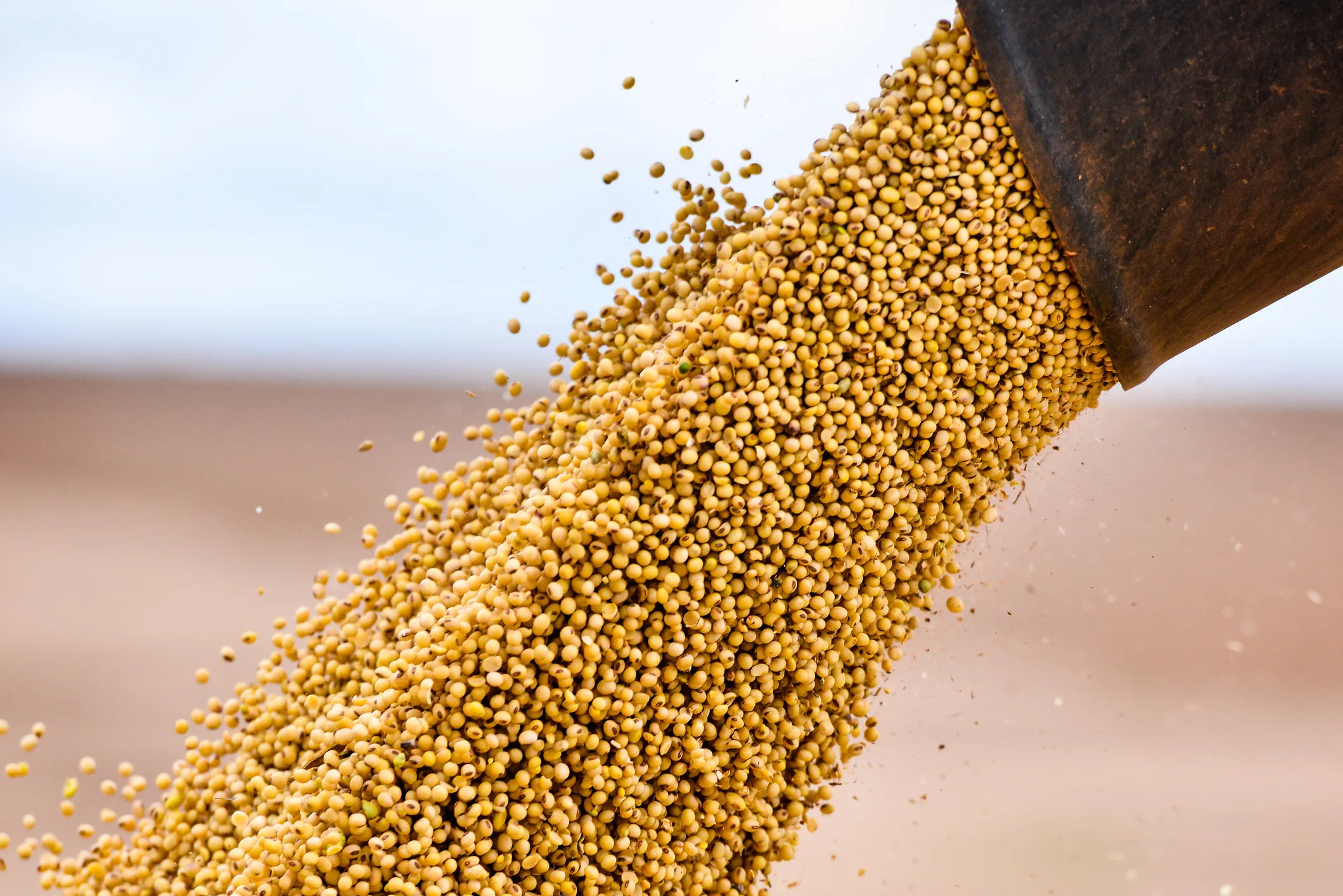 Brazilian Soy Producers Fight Back Against Danone's Boycott
