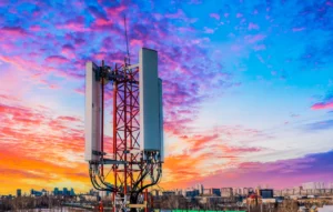 The Human Touch in 6G: Bridging Digital and Physical Realms