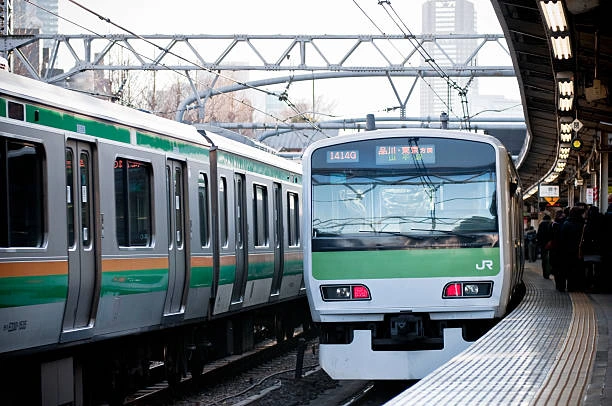 Tokyo Metro's Record-Breaking IPO Reshapes Japanese Transportation Landscape
