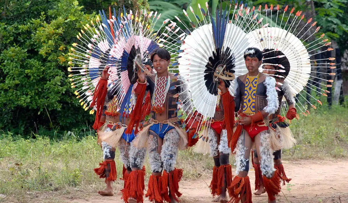 Acre's Indigenous Tourism Boom: A Gateway to Amazonian Culture