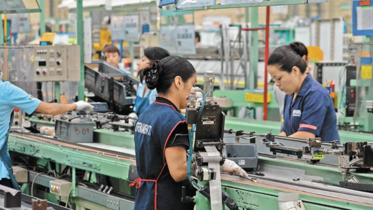 Mexico's Job Market Faces Setback: 626,000 Positions Lost in August
