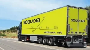 Sequoia's Leadership Shift Sparks Market Optimism Amid Restructuring