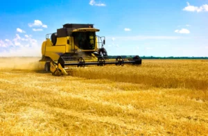 Brazil's Agricultural GDP Drops 1.28% in Q2, Yearly Decline at 3.5%