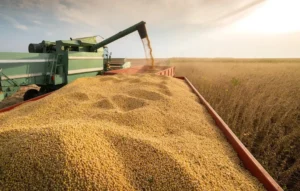 Global Food Giant's Soybean Saga Reveals Hidden Battle Over Brazil's Agriculture