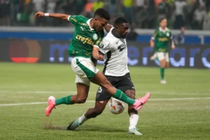 Palmeiras Gains Ground in Brazilian Championship as Botafogo Stumbles
