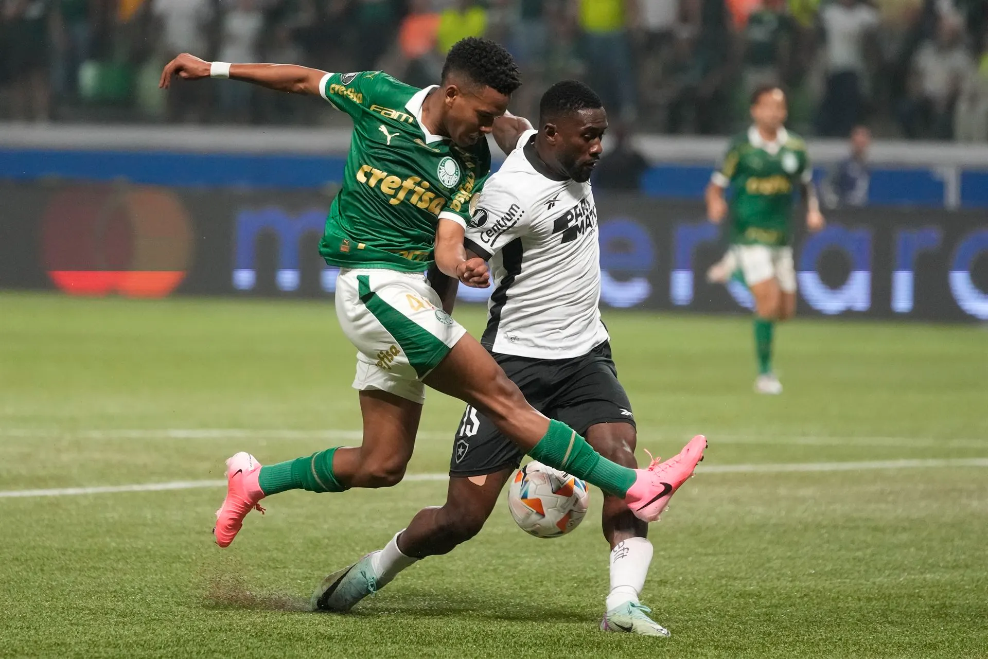 Palmeiras Gains Ground in Brazilian Championship as Botafogo Stumbles
