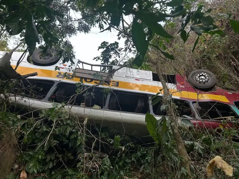 Bus
