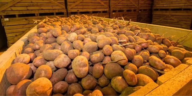 EU Challenges Colombia's Potato Tariffs at WTO