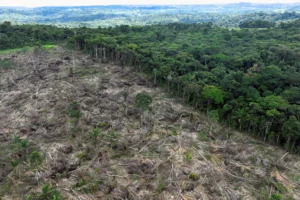 EU Delays Deforestation Law: Brazil's $15 Billion Trade at Stake