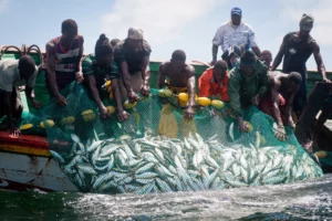 Senegal Faces Economic Threat as EU Withdraws Fishing Rights