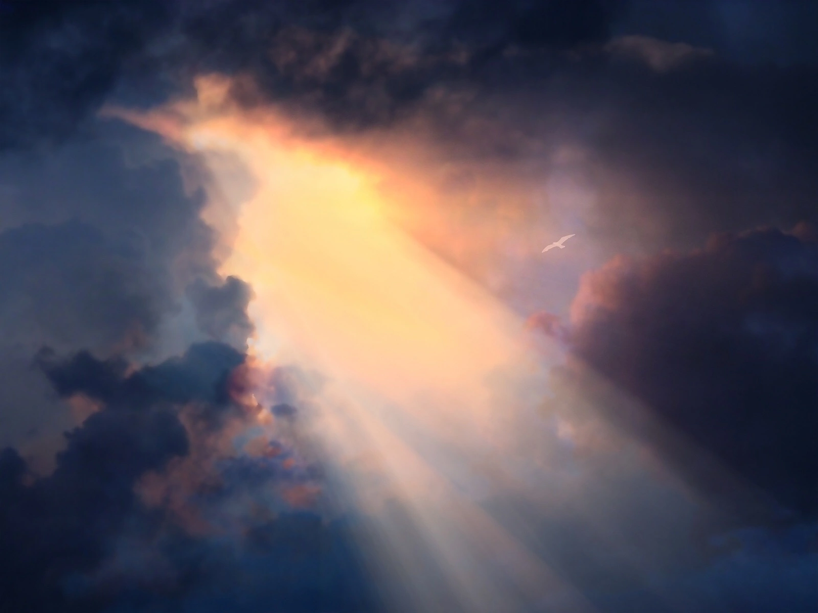 The holy spirit