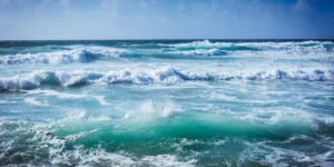 India and Nigeria Forge Partnership to Unlock Blue Economy Potential