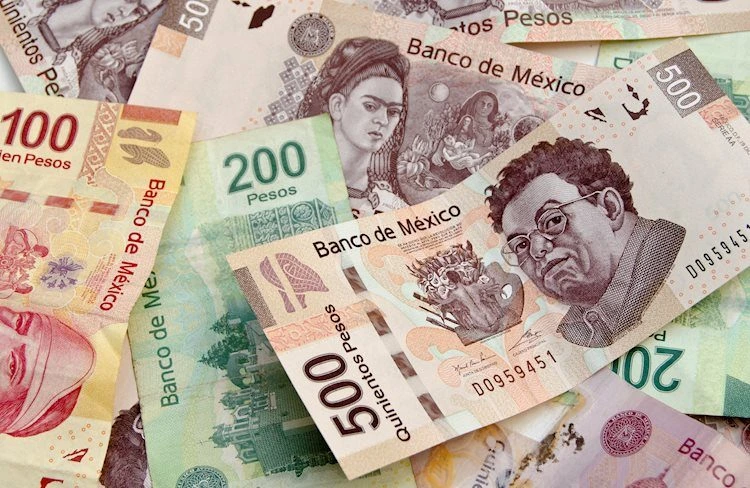 Mexican Peso Depreciates While Stock Market Attempts to Rebound