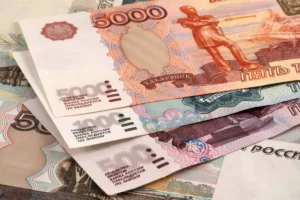 Russian Ruble Hits 20-Month Low, Central Bank Halts Foreign Currency Purchases